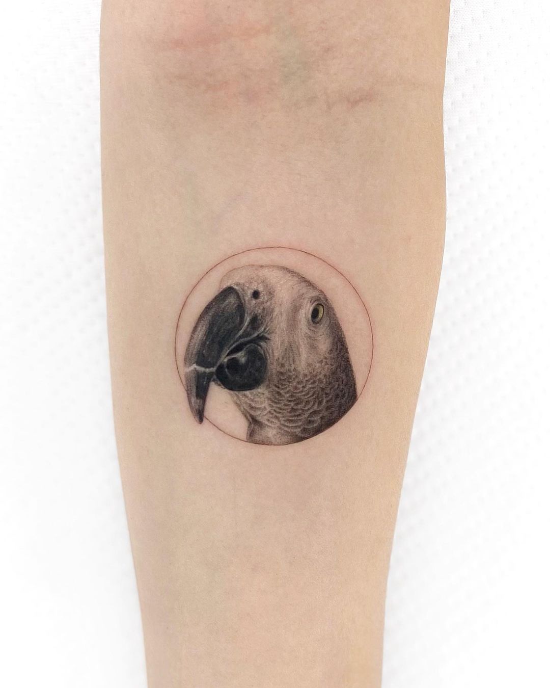 Parrot tattoo on arm by mustafaalakoc