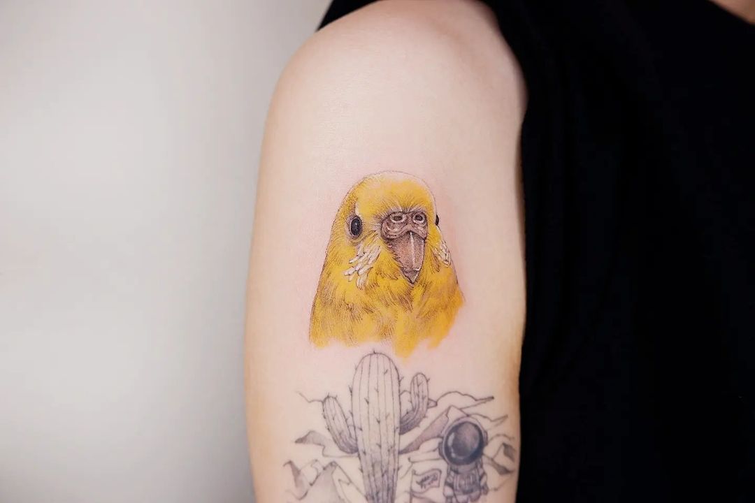 Realistic parrot tattoo by 50hundred tattoo