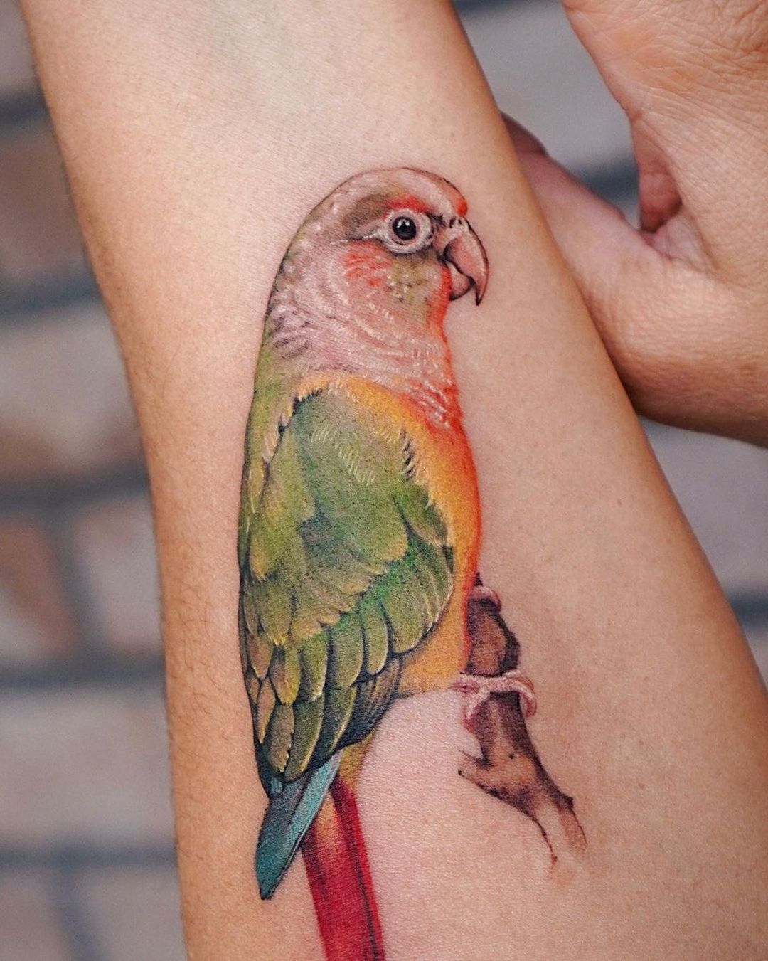 Realistic parrot tattoo design by vismstudio