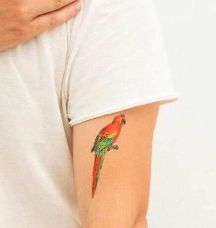 10 Stunning Parrot Tattoo Ideas For Bird Lovers
