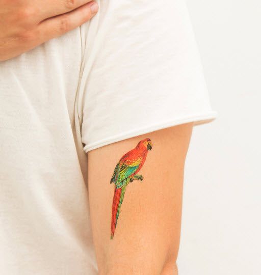 Small parrot tattoo 1
