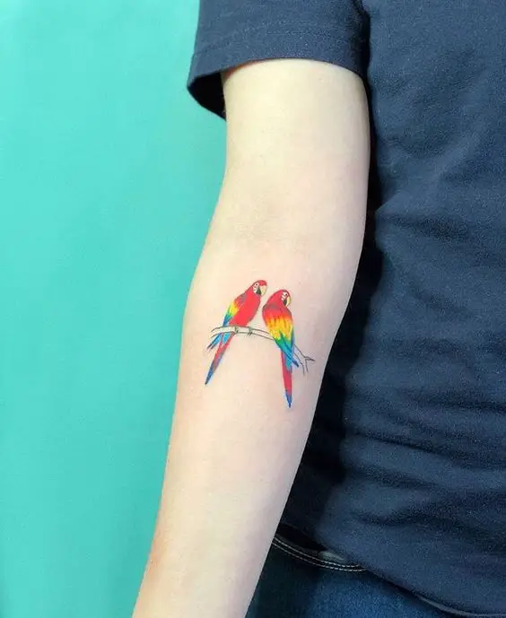 Two parrot tatto 1
