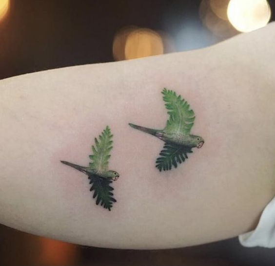 Two parrot tattoo 2