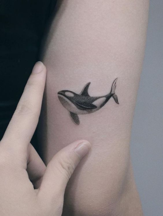 Unique dolphin tattoo design
