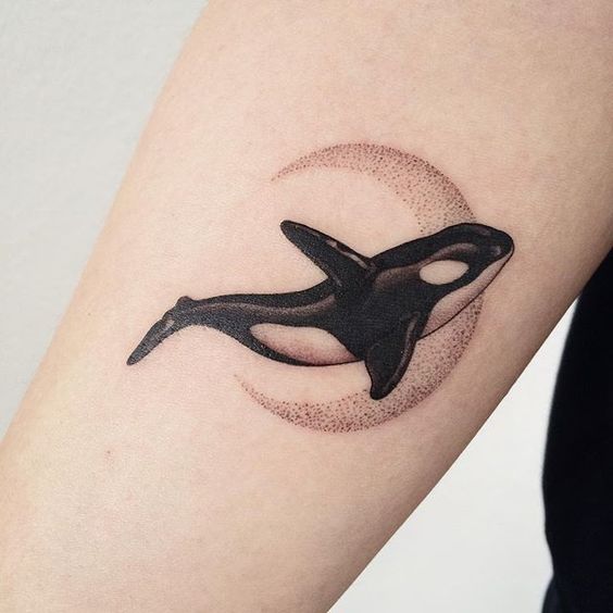 beautiful black and gray dolphin tattoo