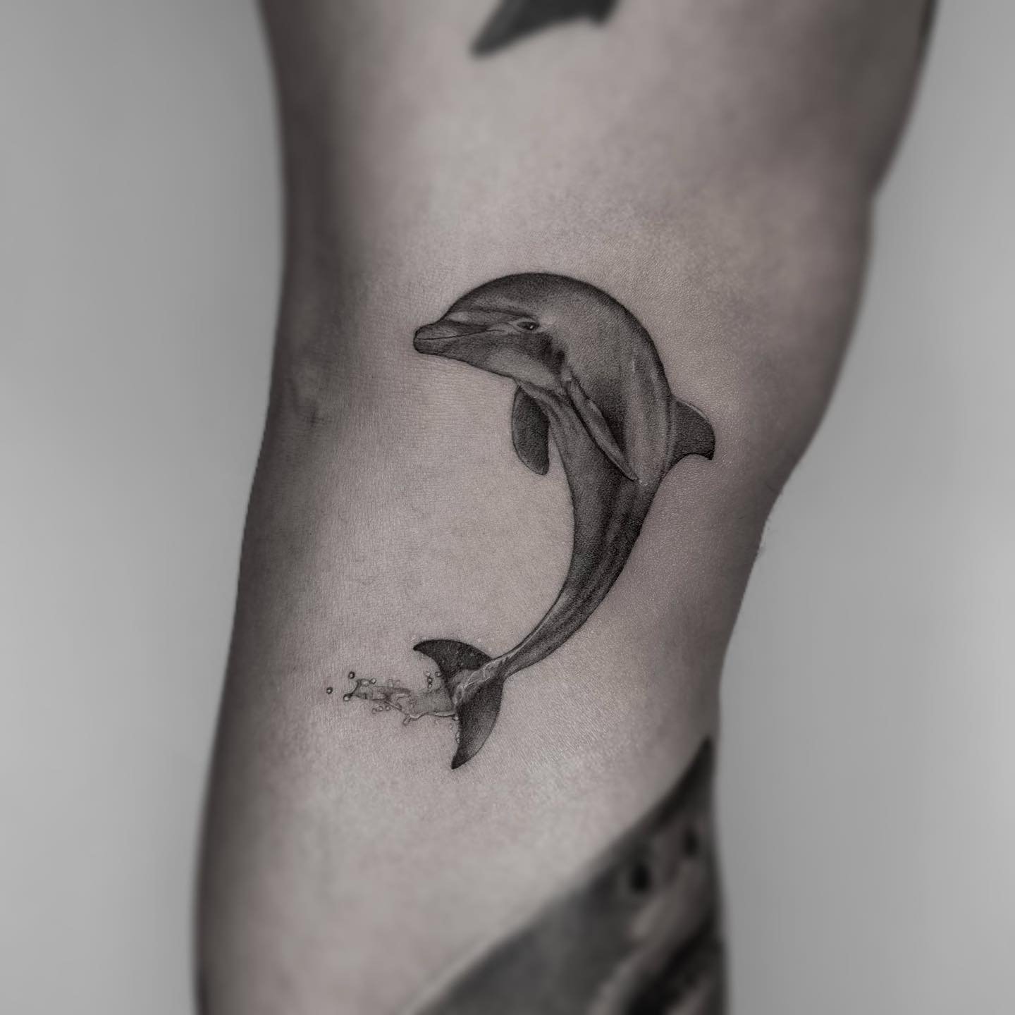 black and gray dolphin tattoo by tz.aho