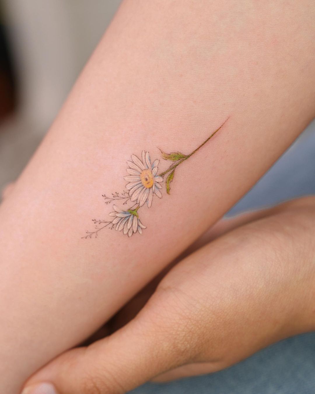 daisy flower tattoo by salt inkso