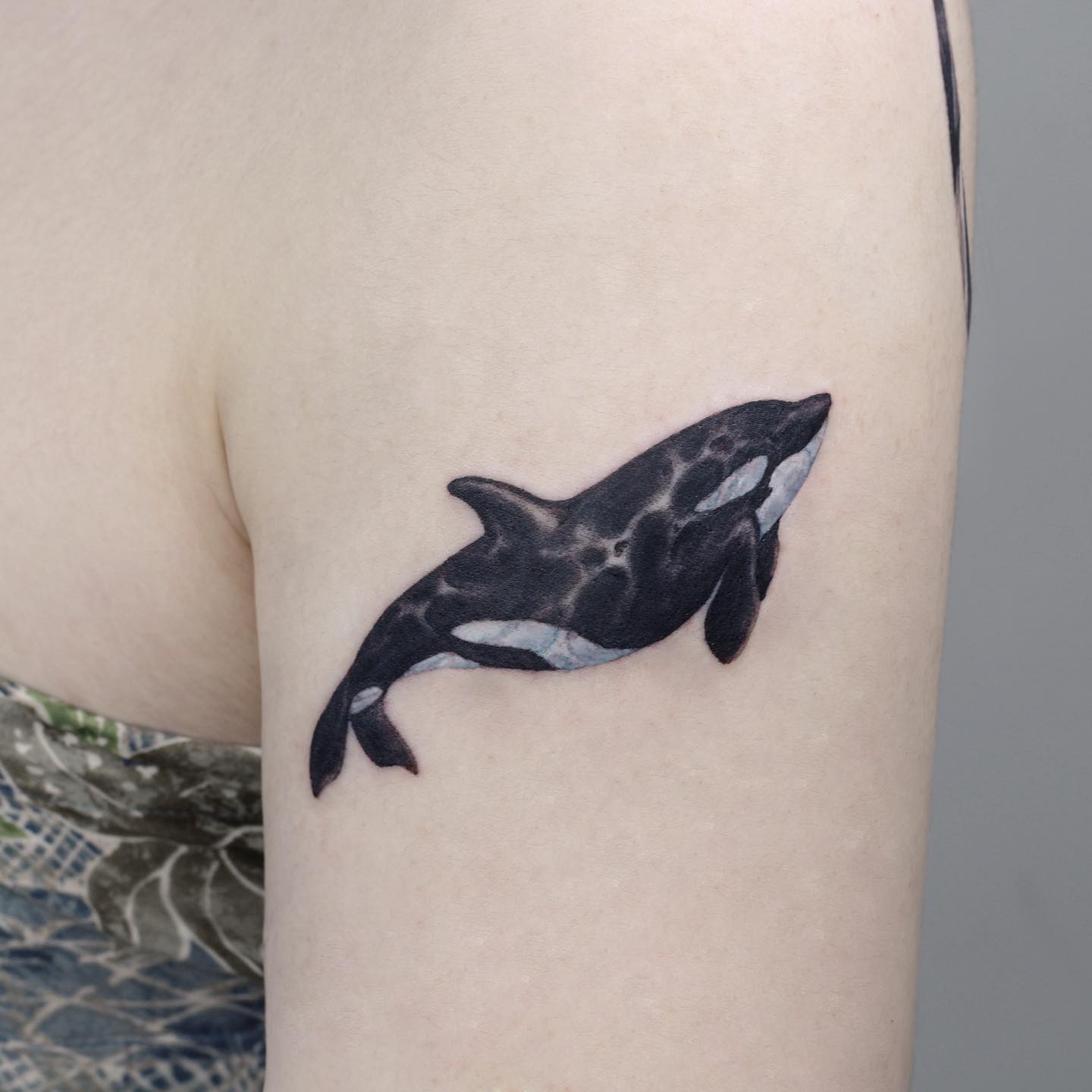 realistic dolphin tattoo by