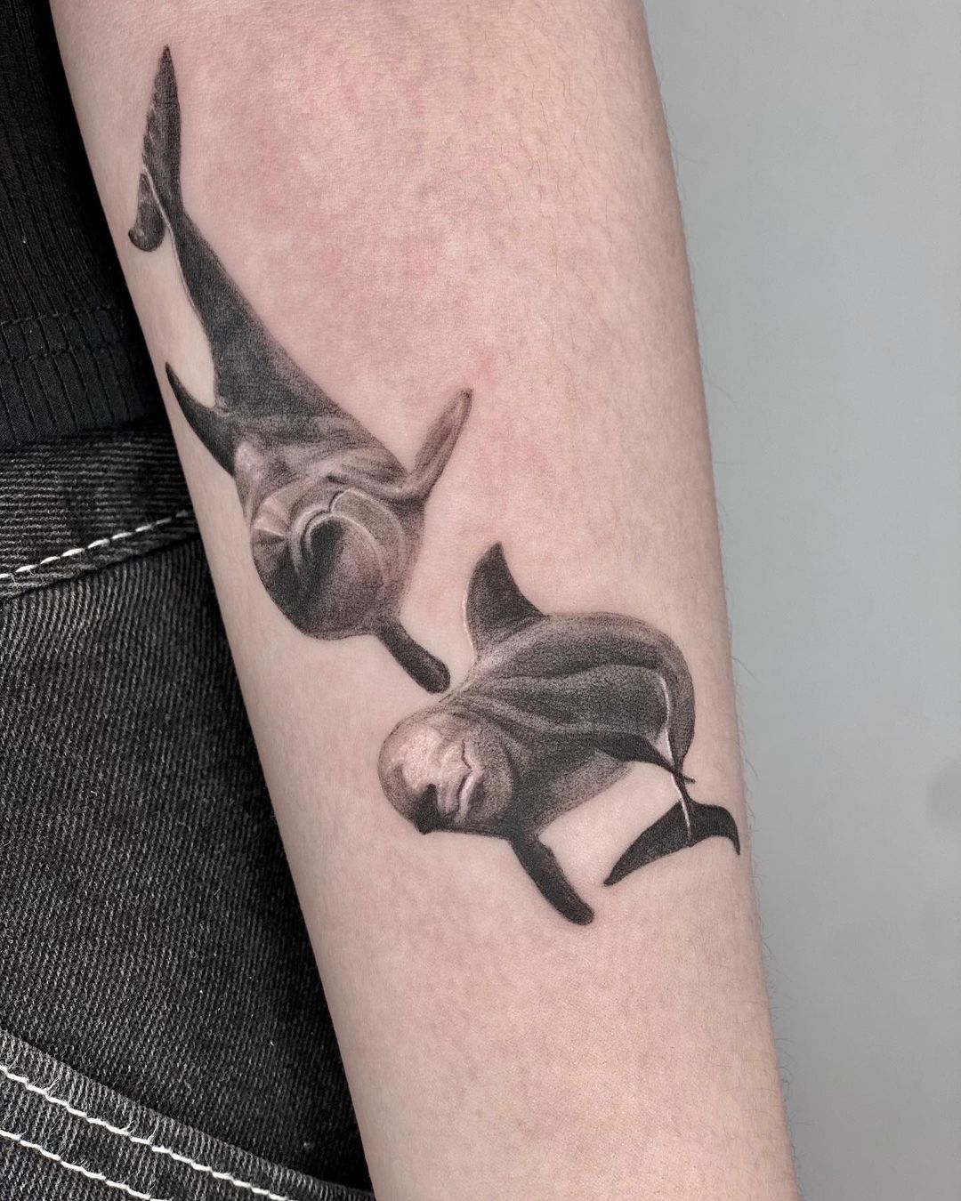 realistic dolphin tattoo design by calcifert
