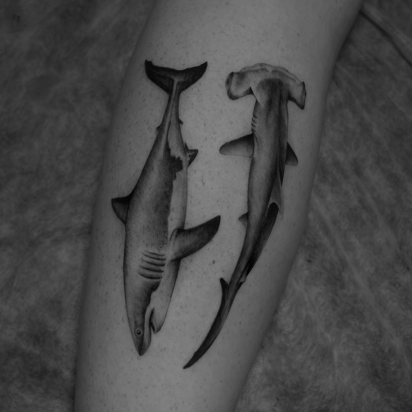 Realistic shark tattoo by camilofuentestnt