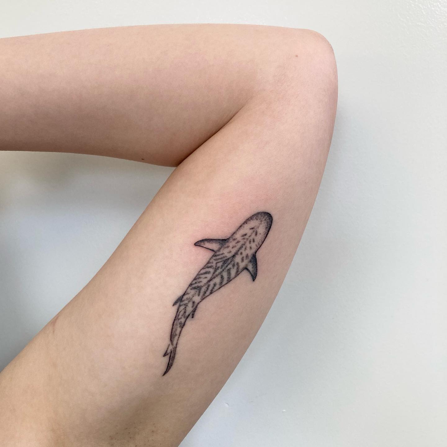 Tiger shark tattoo by shambhalatattoosandpiercing