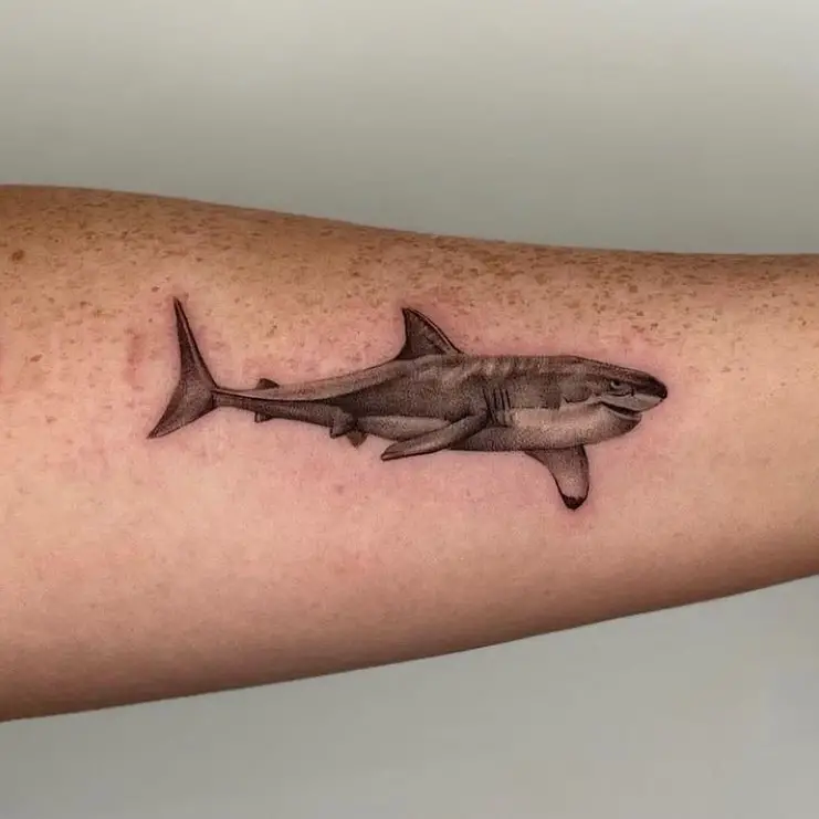 black and grey shark tattoos by salvationtattoolounge 1