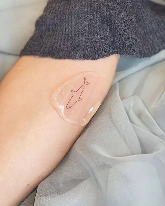 fineline minimalistic shark tattoo