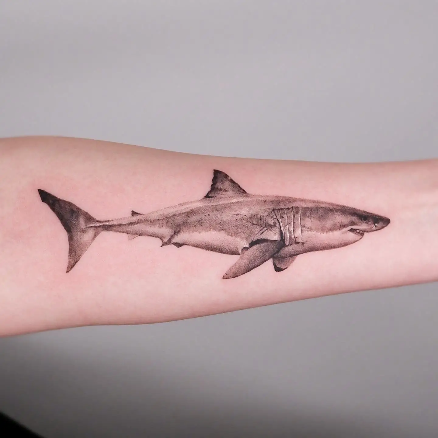 great white shark tattoo design by tattooist340