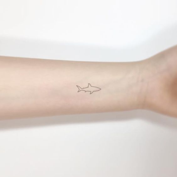 mini shark tattoo design