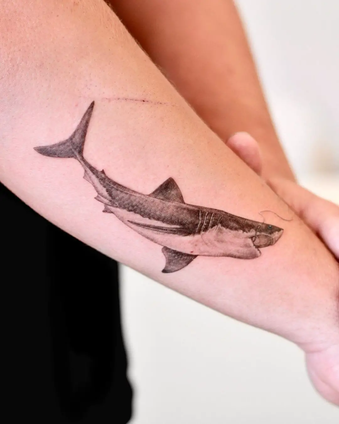 shark tattoo with shadow｜TikTok Search