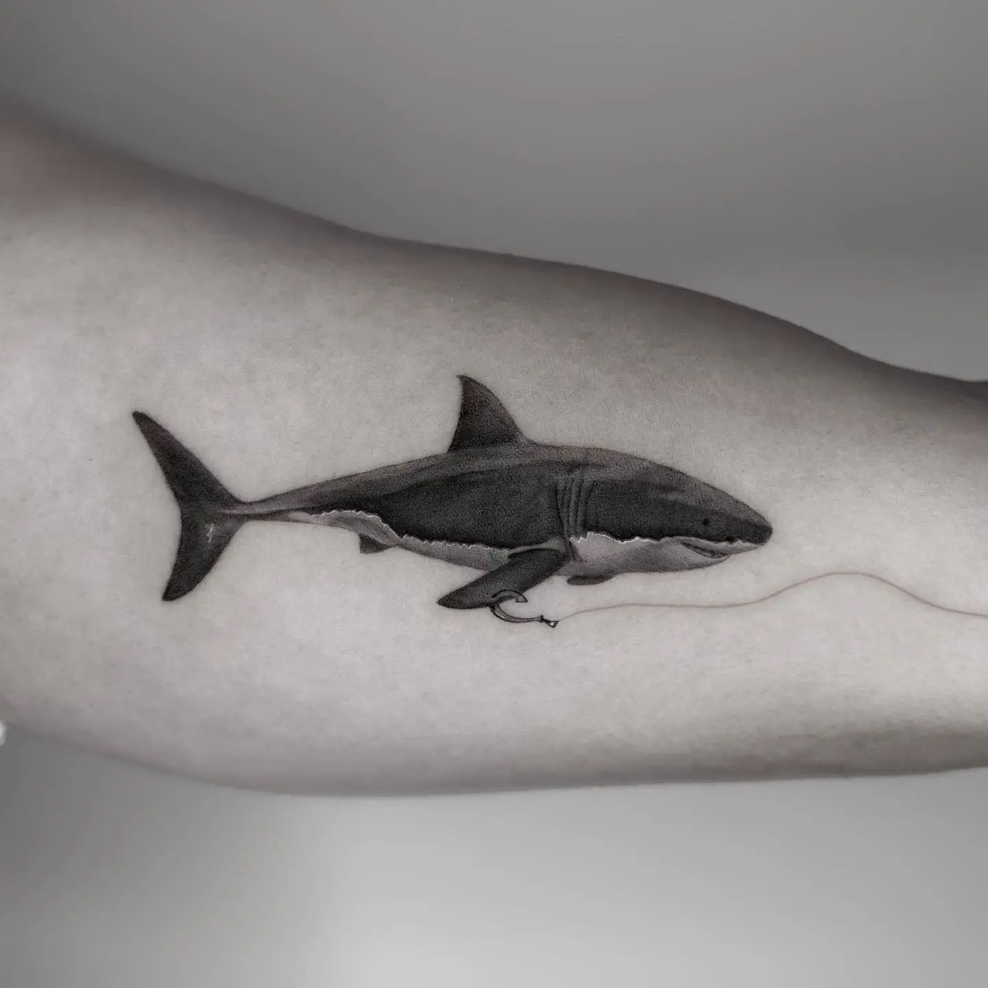 small shark tattoo design by tz