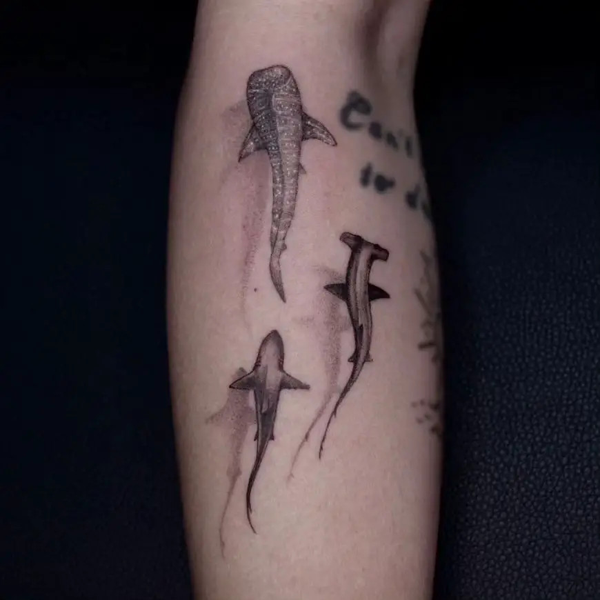 tiger shark tattoo ideas by hilljo tattoo