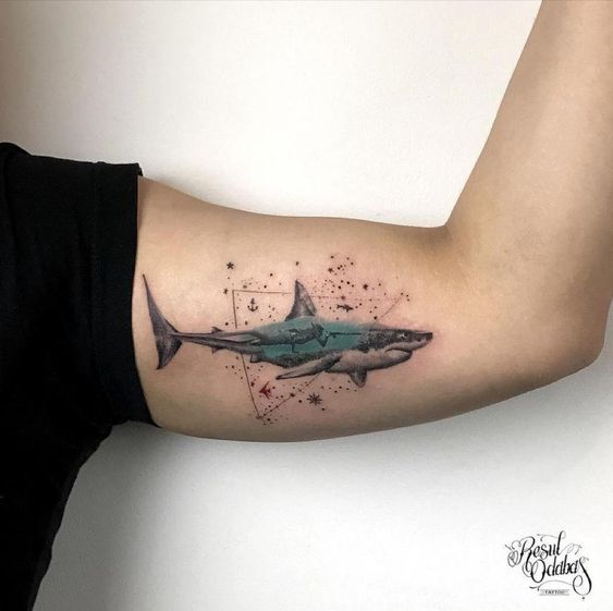 watercolor shark tattoo