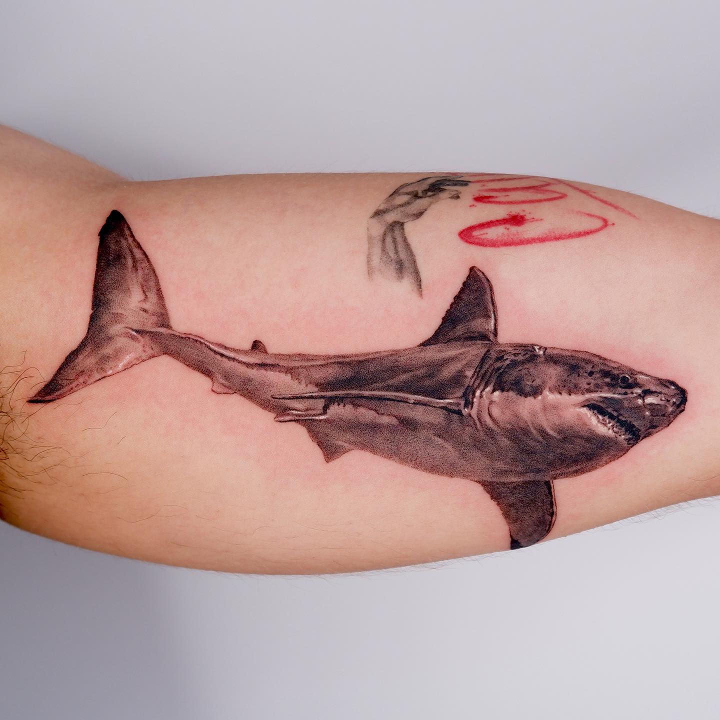 white shark tattoo ideas by tattooist340