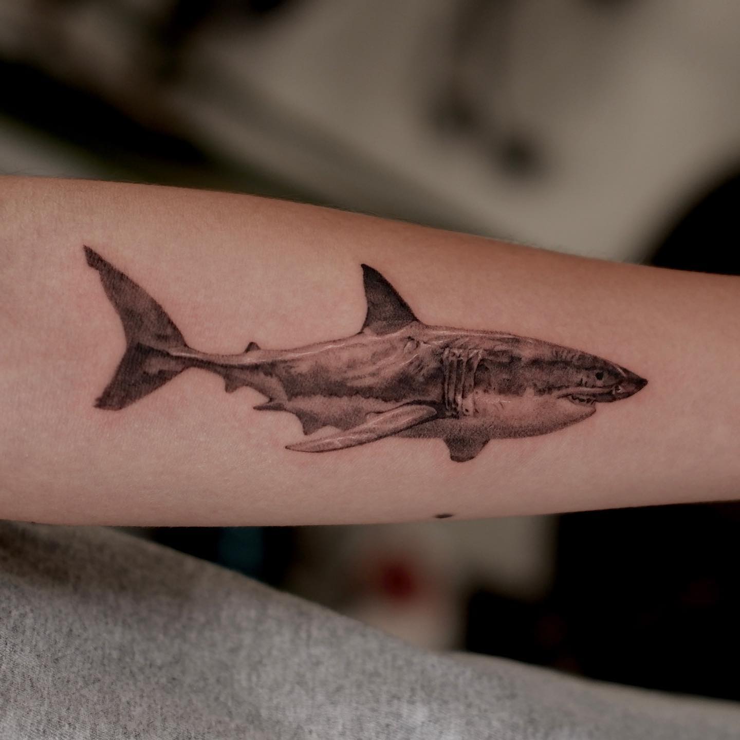 white shark tattoos by tattooist340