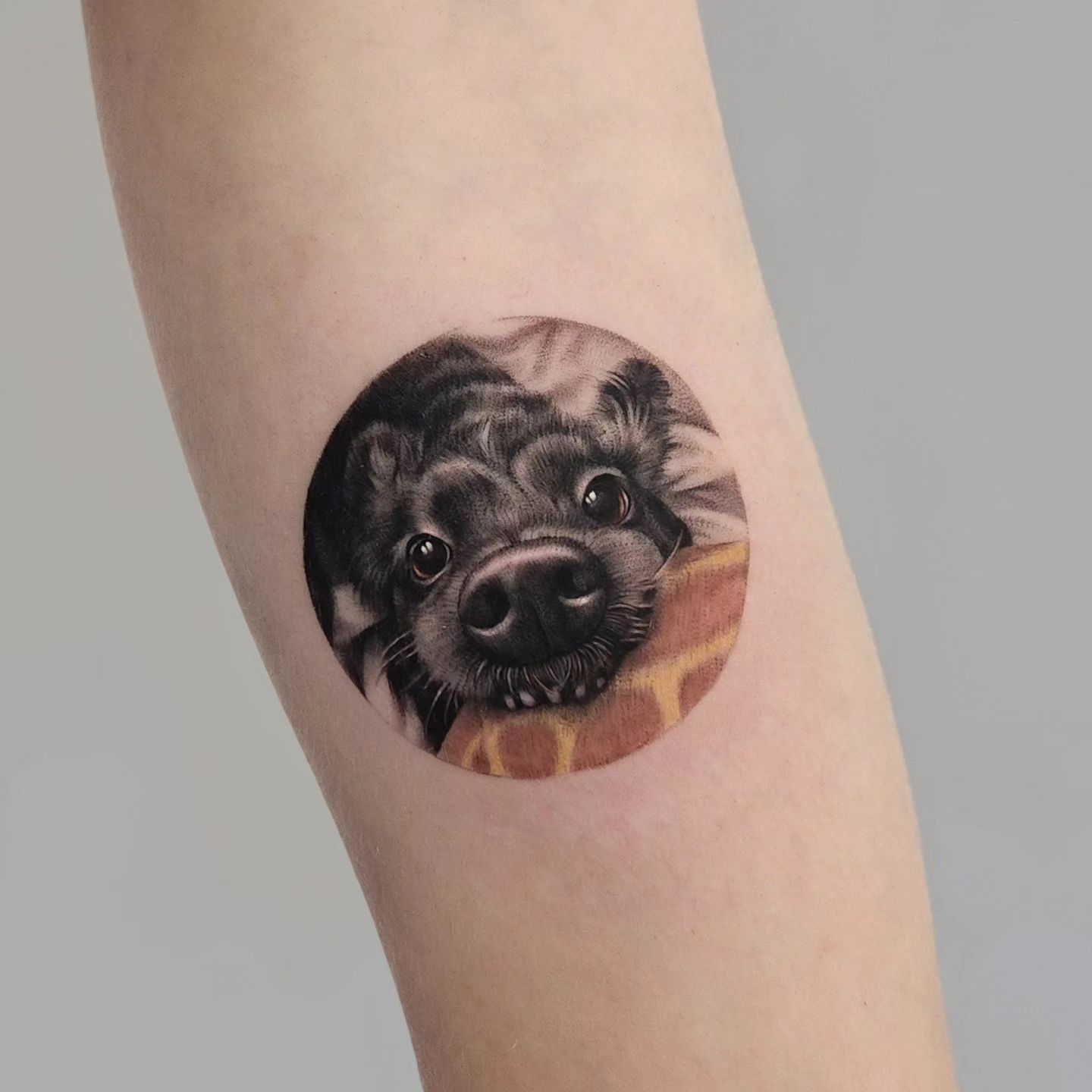 Amazing dog tattoo by cien ink