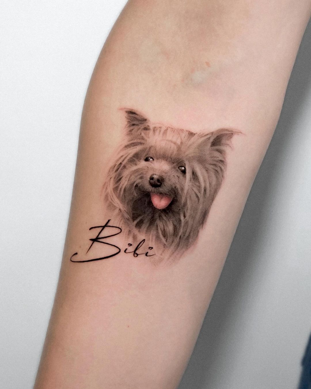 Cute dogs by tattooist marco