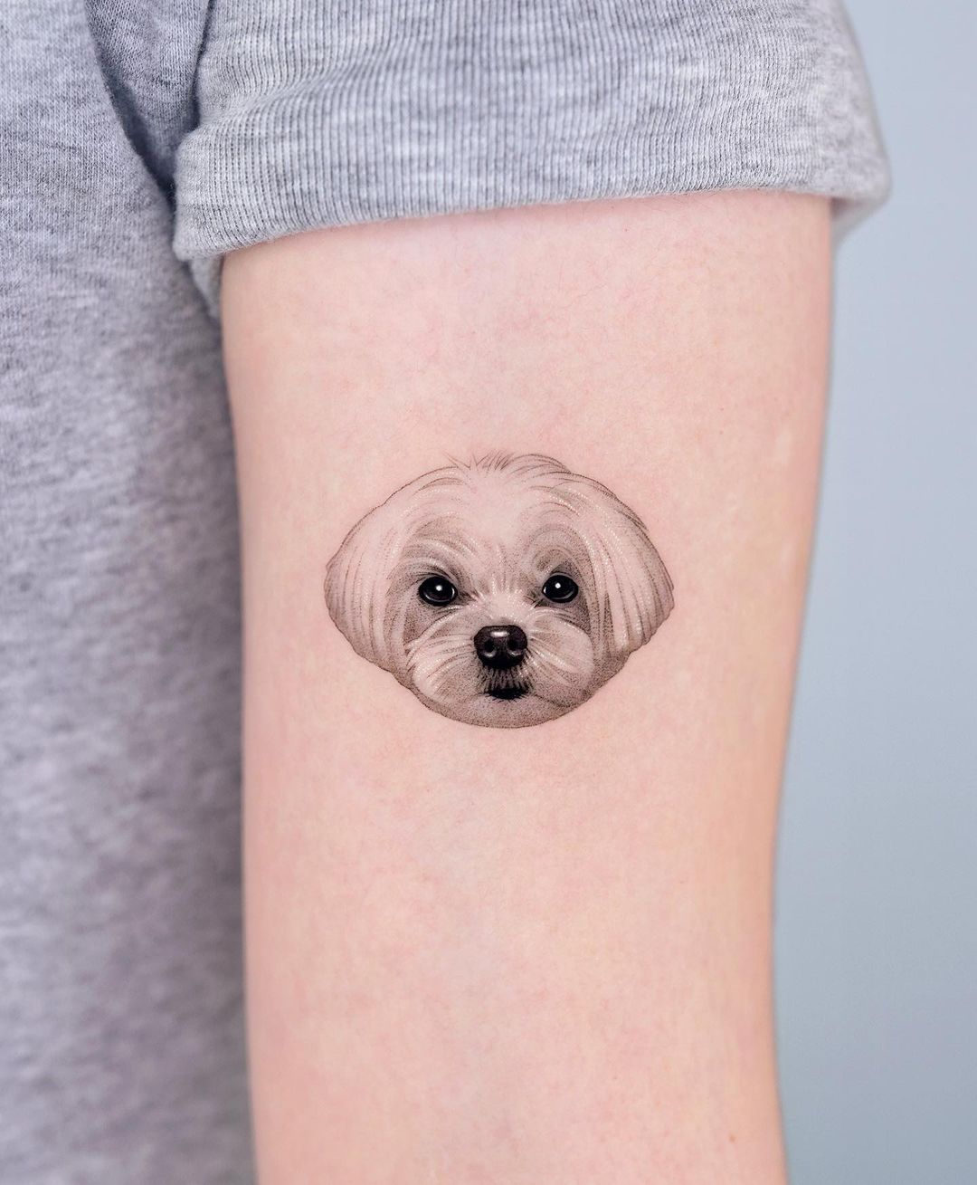 Realistic dog tattoo by zeal tattoo