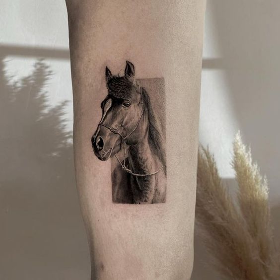 beautiful black horse tattoo