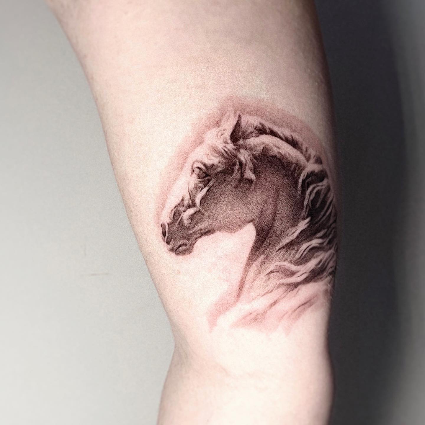 black and white horse tattoo by min.ink