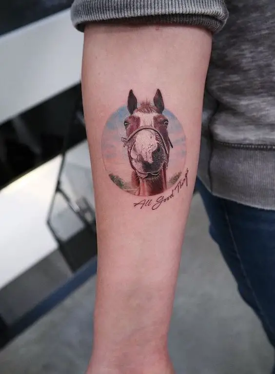 horse portrait tattoo