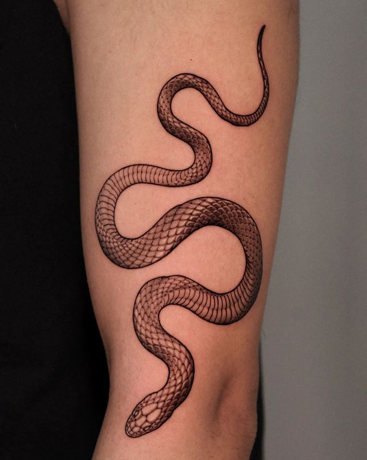 Simple snake tattoo by koonoblk