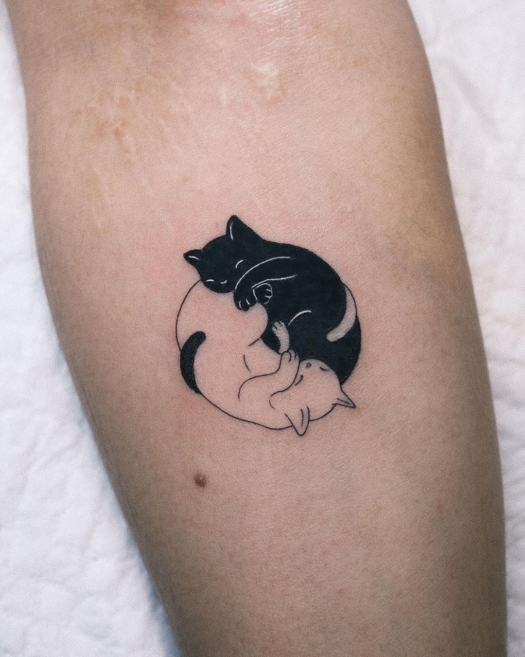 black inked cat tattoo by ziv tattooer