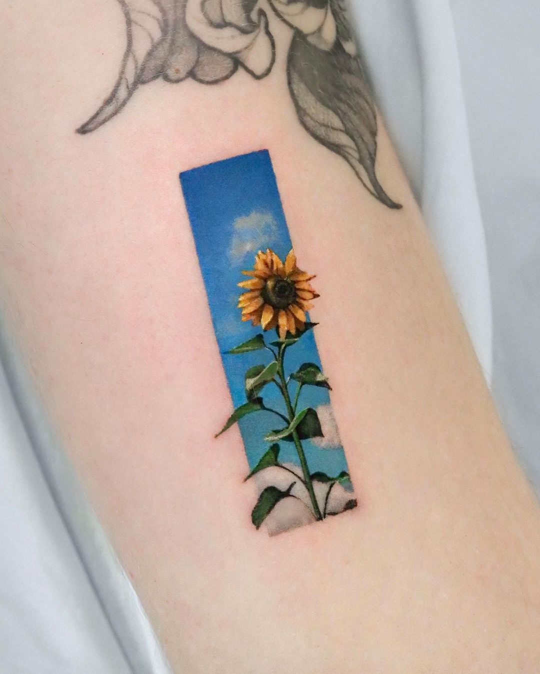 elegant sunflower by mooji tt