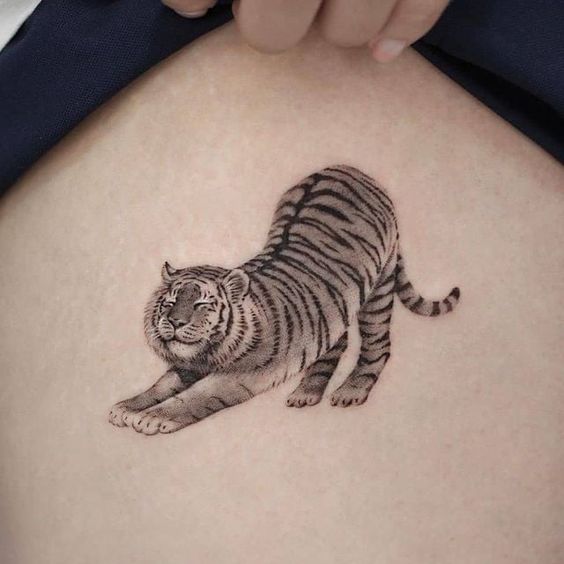 realistic tiger on ribs