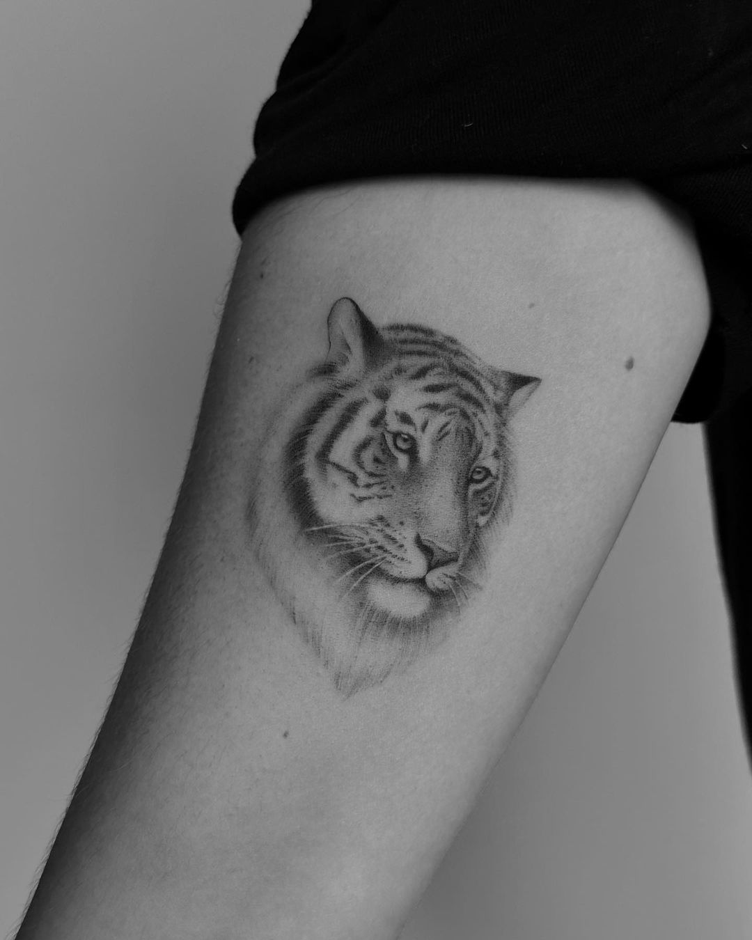 small tiger tattoo by mrs.tattoo
