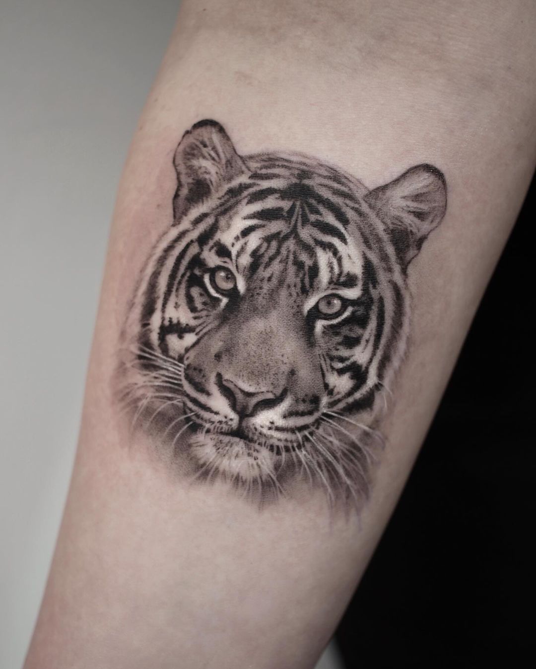 tiger portrait tattoo by goldy z