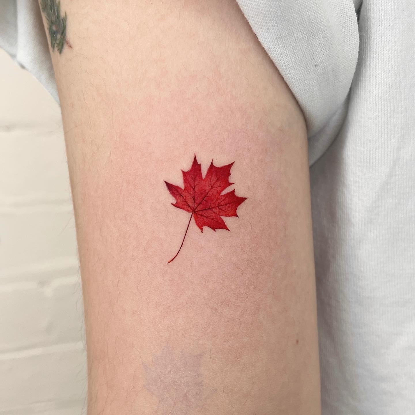 Maple leaf tattoo by moqua tattoo