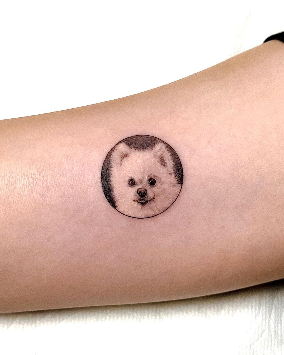 Minimalistic puppy tattoo by takato808tattoo