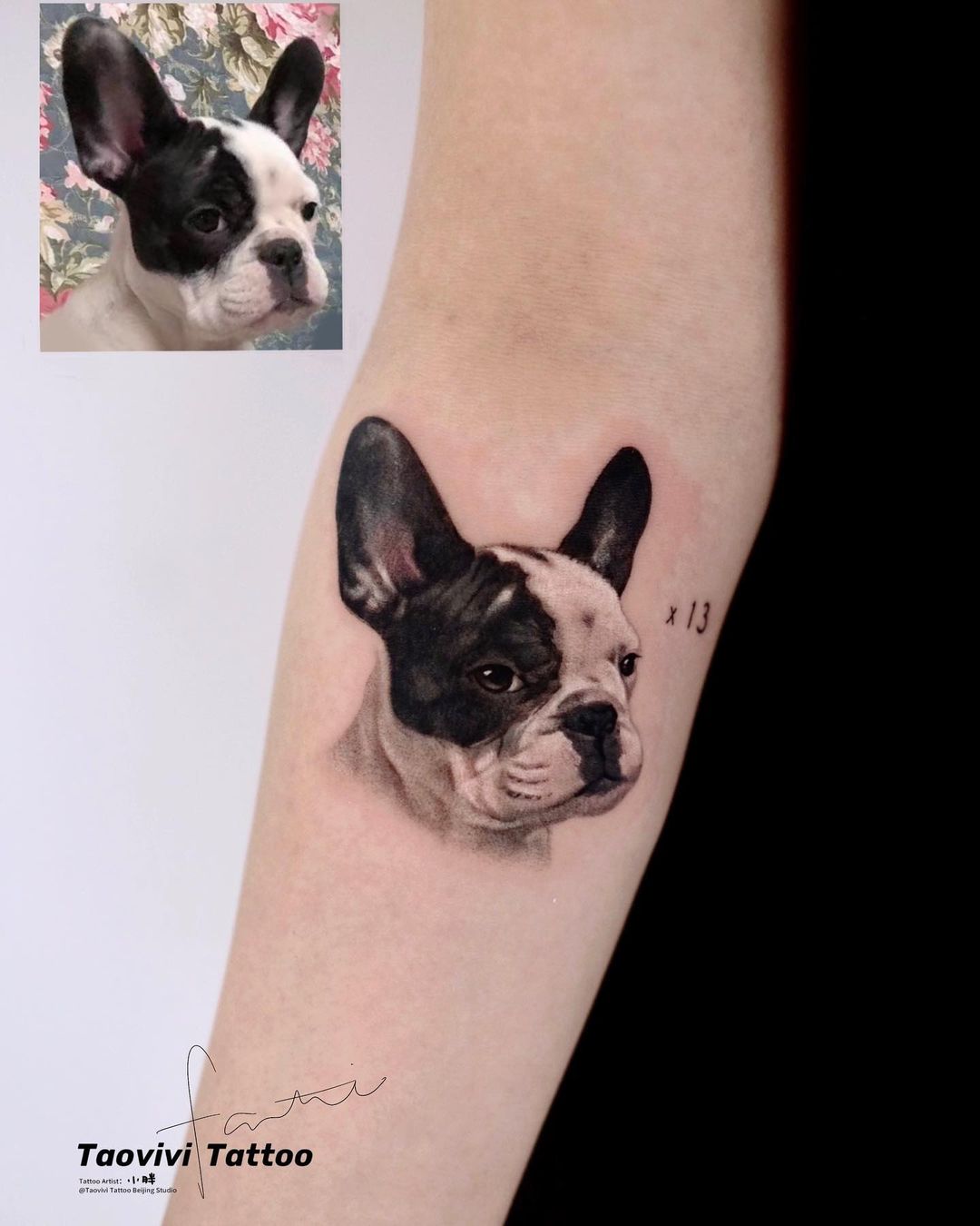 dog portrait tattoo ideas by fattie tao