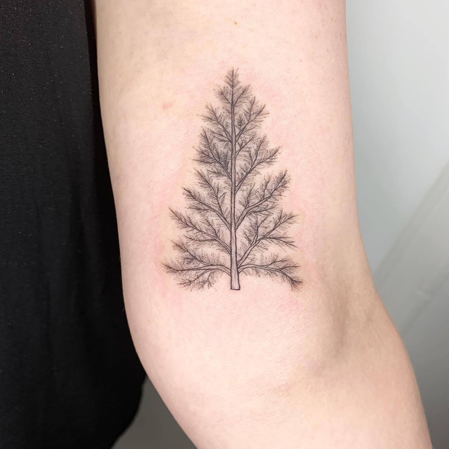pine tree tattoo by noelle adrienne