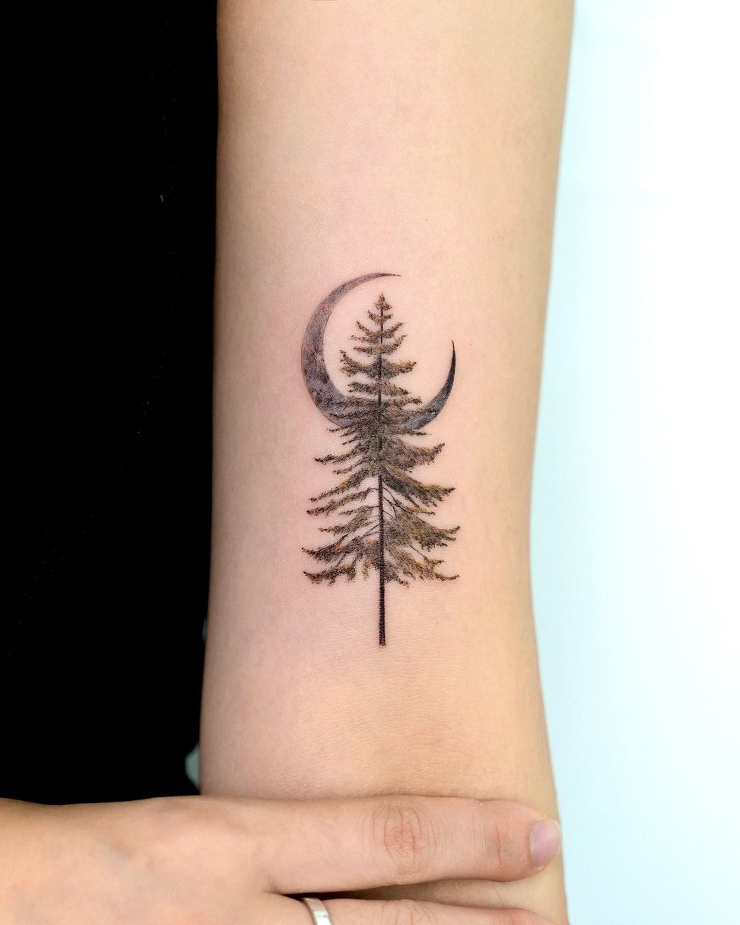 pine tree tattoo by tattooist gaon