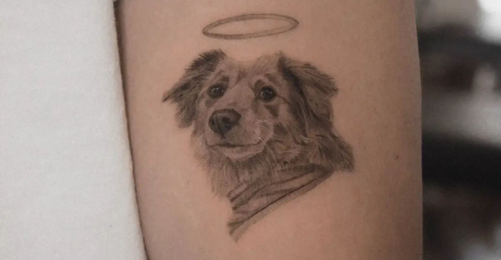 Sketch Whippet Dog Tattoo Design – Tattoos Wizard Designs