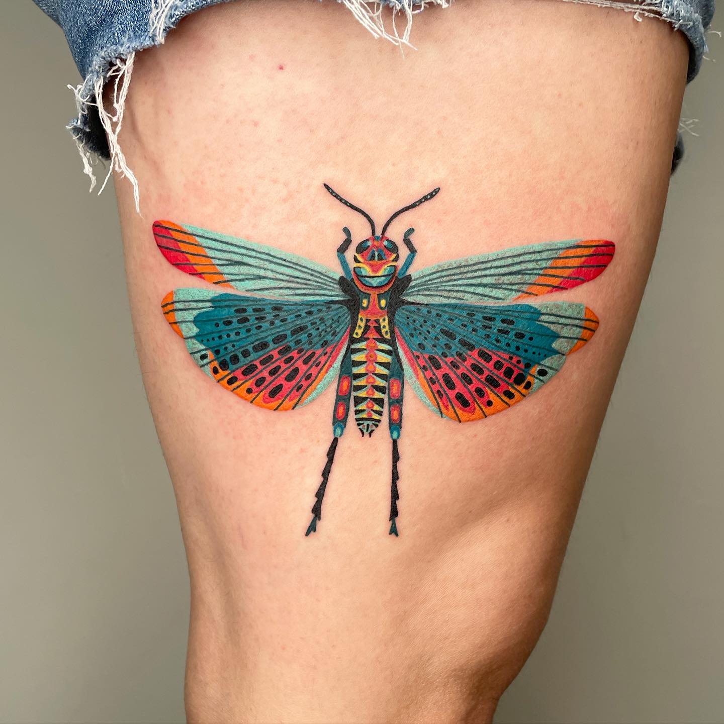 Grasshopper tattoo by laurenblairart