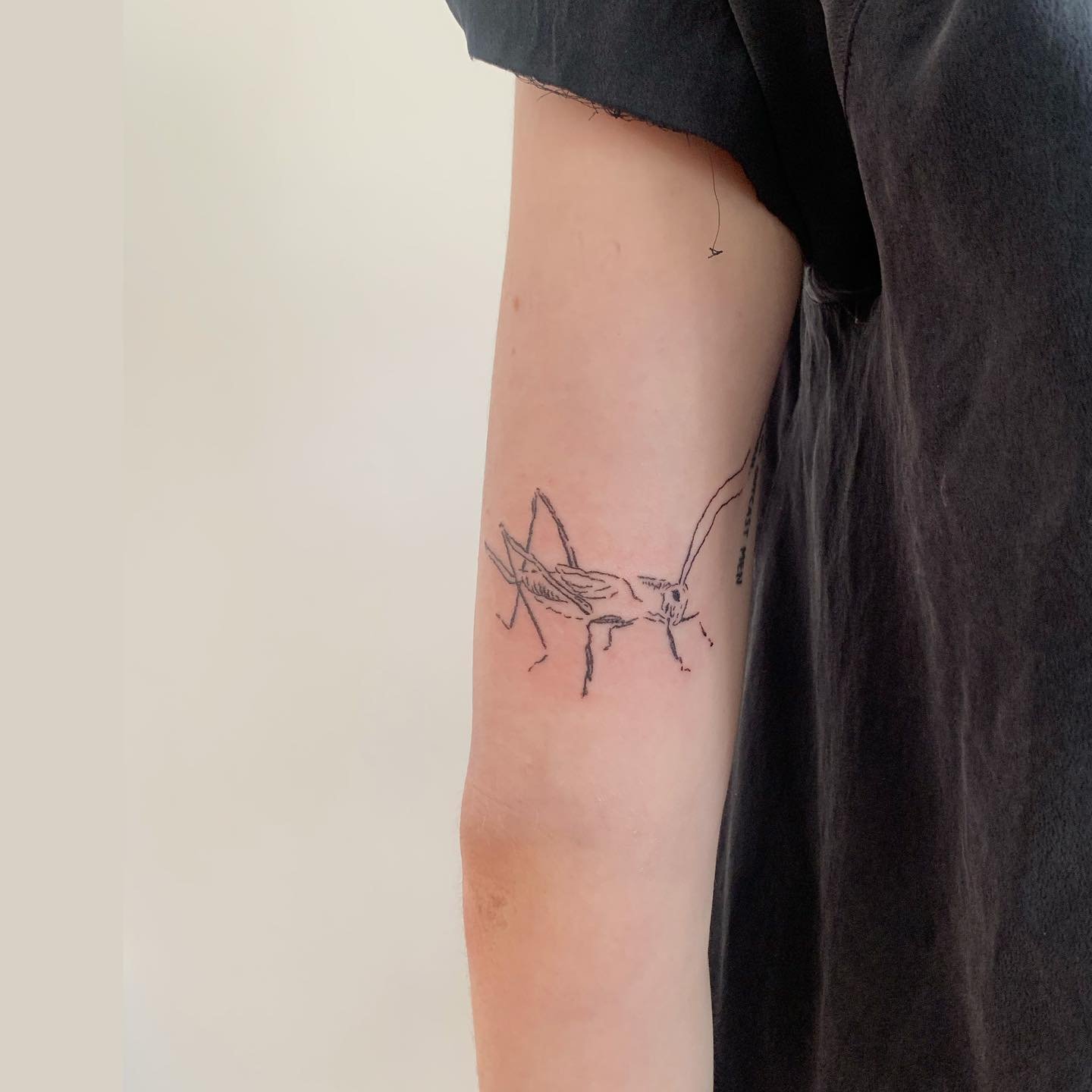 Grasshopper tattoo on arm by eveyetattu