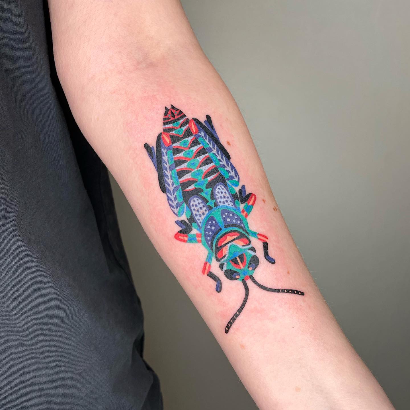 Grasshopper tattoo on arm by laurenblairart
