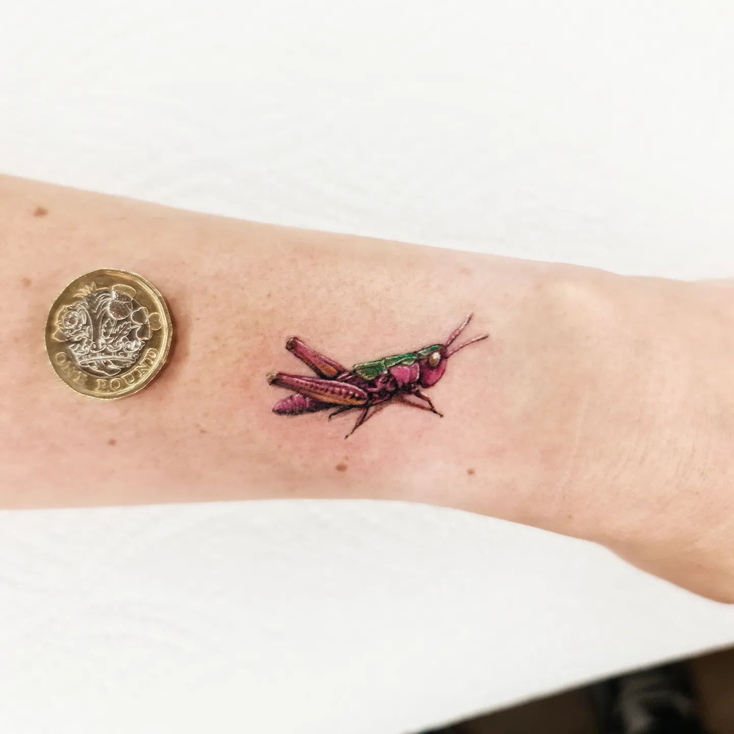 cute grasshopper tattoo by leehumphs tattoo