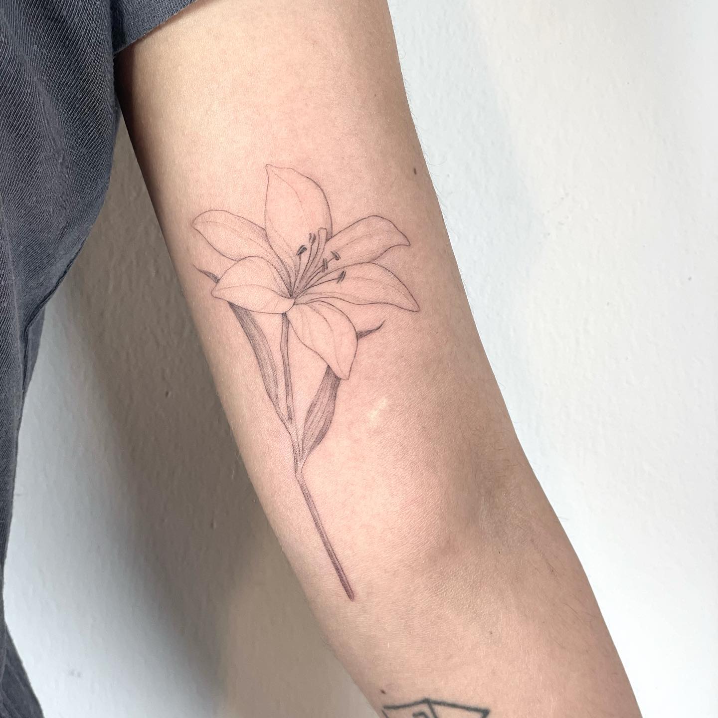 delicate lily tattoos by alisa.ink