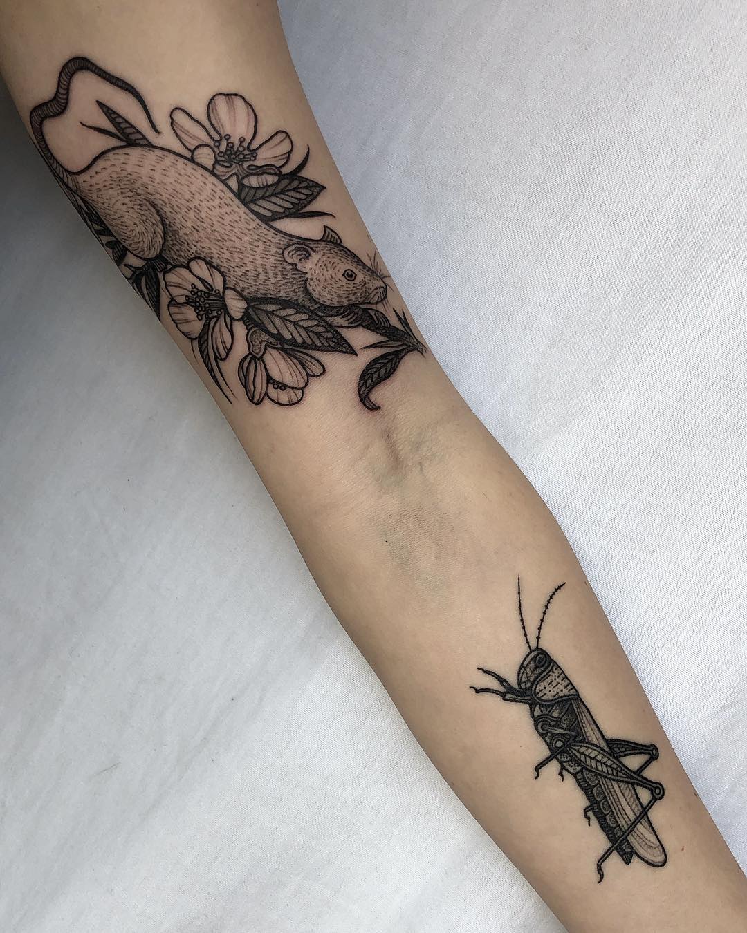 grasshopper tattoos for men by kelsey moore tattoo