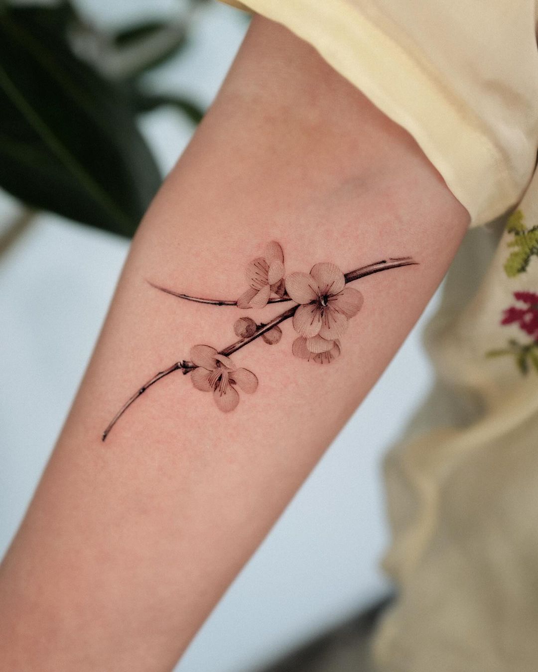 realistic cherry blossom tattoo by frommay tat